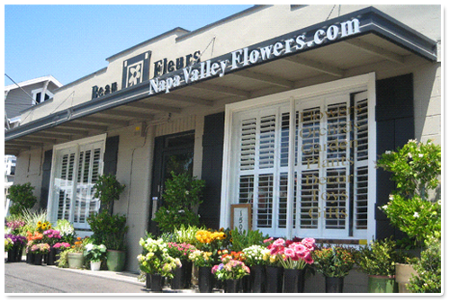 napa florist shop